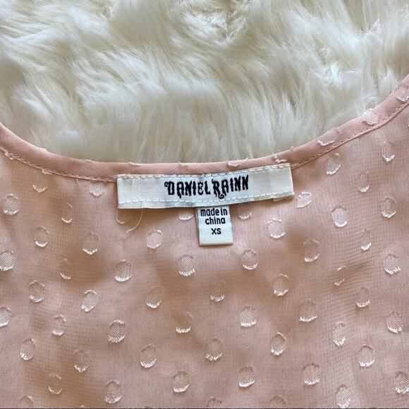 Daniel Rainn Blush Swiss Dot Sleeveless Blouse XS - Picture 6 of 10